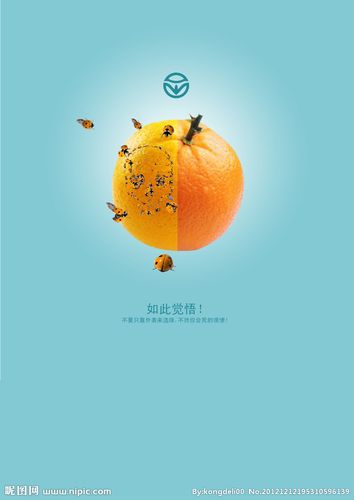 公益廣告系列 綠色食品設(shè)計(jì)圖__招貼設(shè)計(jì)_廣告設(shè)計(jì)_設(shè)計(jì)圖庫_昵圖網(wǎng)ni